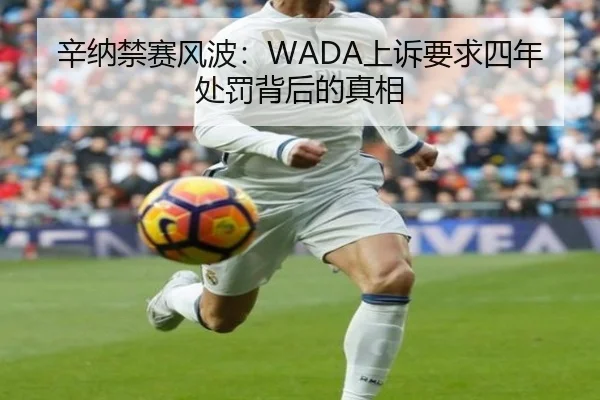 辛纳禁赛风波：WADA上诉要求四年处罚背后的真相